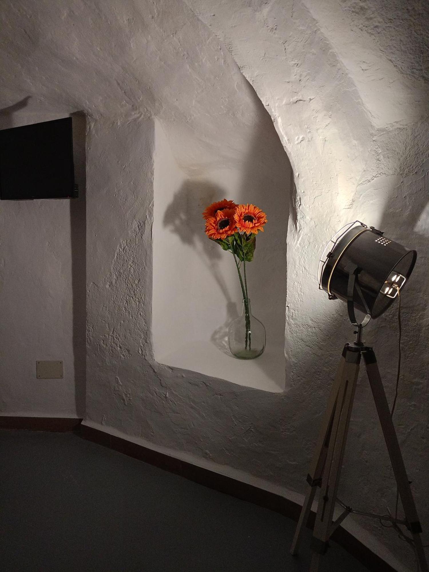 Encantadora Casa-Cueva En Pleno Barrio Alfarero De Níjar Exterior photo
